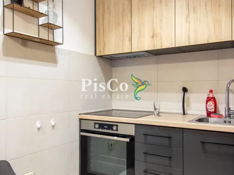 Izdavanje, jednosoban stan, 45m², Stara Varoš, Podgorica - image 4