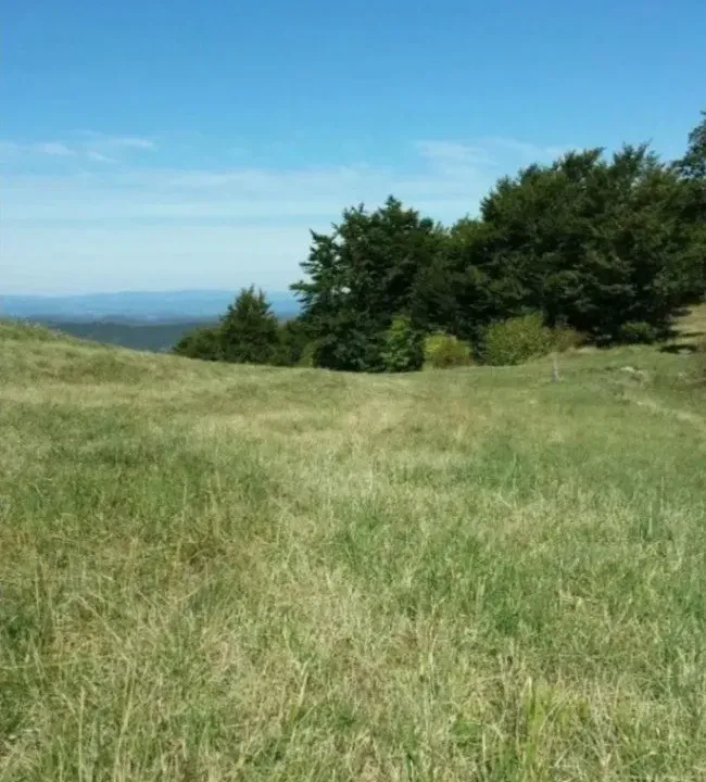 Sale, land lot, 989m², Zlatibor, Srbija