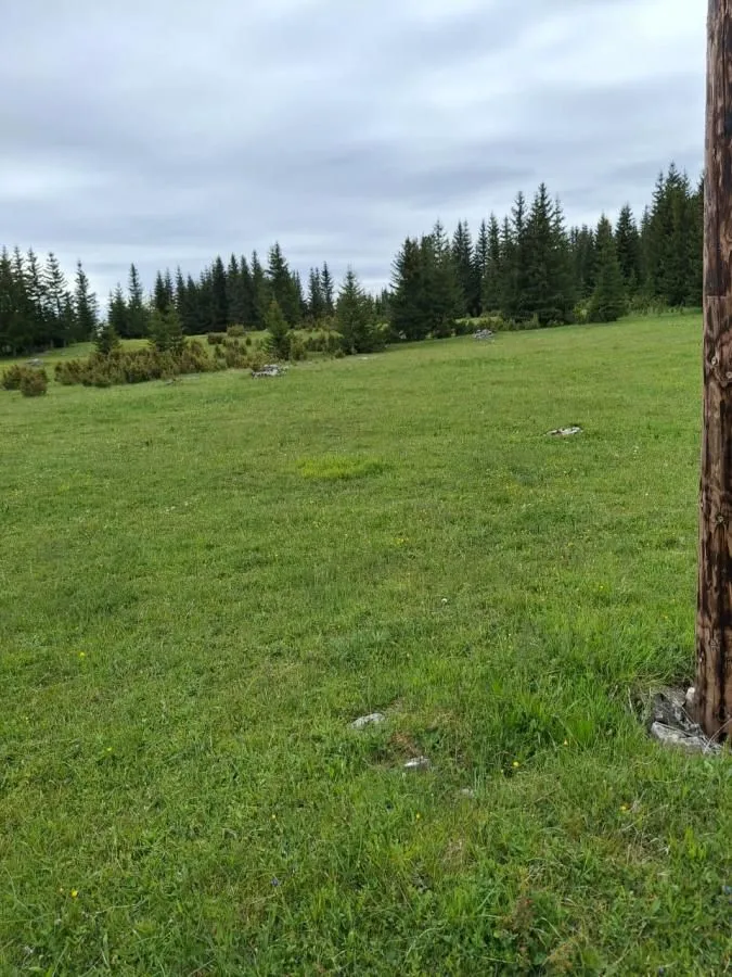 Prodaja, plac, 7800m², Žabljak, Crna Gora