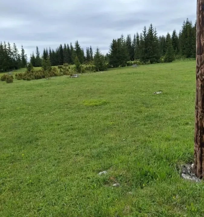 Prodaja, plac, 7800m², Žabljak, Crna Gora