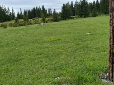 Prodaja, plac, 7800m², Žabljak, Crna Gora