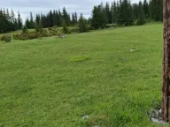 Prodaja, plac, 7800m², Žabljak, Crna Gora - image 1