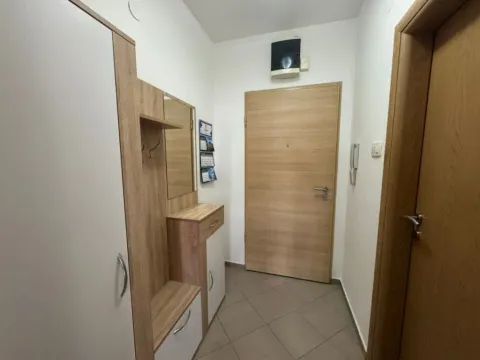 Izdavanje, garsonjera, 30m², Tuški Put, Podgorica - image 7