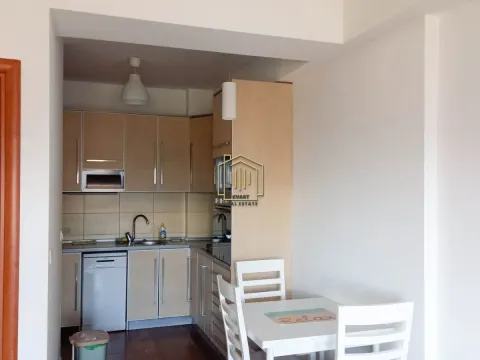 Rent, one bedroom apartment, 43m², Podgorica, Crna Gora - image 7