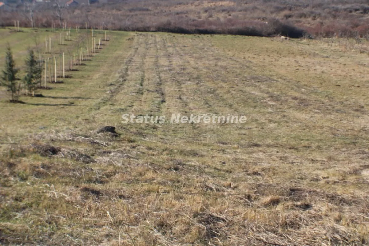 Sale, land lot, 2500m², Irig, Srbija