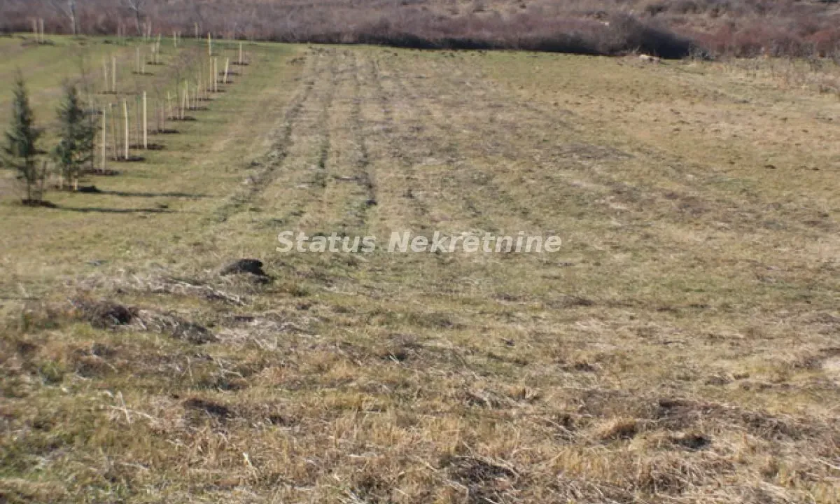 Prodaja, plac, 2500m², Irig, Srbija