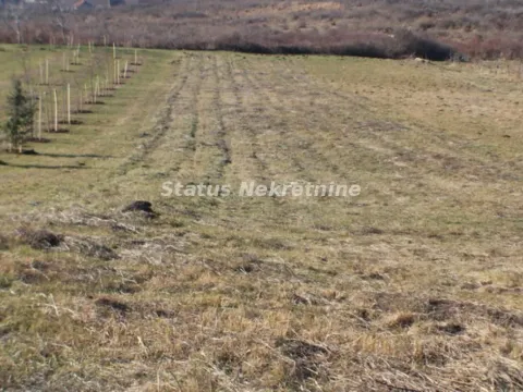 Sale, land lot, 25m², Irig, Srbija