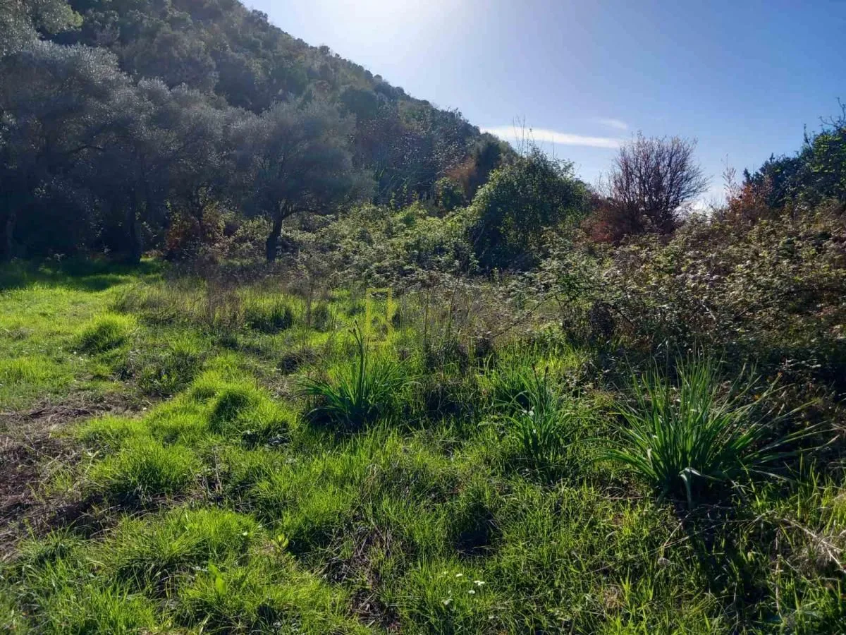 Prodaja, plac, 6700m², Kruče, Ulcinj