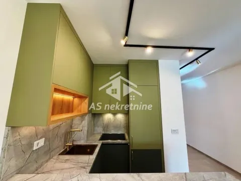 Izdavanje, dvosoban stan, 54m², Hala Pionir, Palilula Sve Podlokacije - image 5