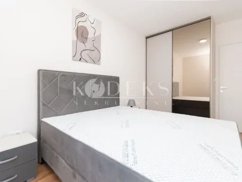 Izdavanje, jednosoban stan, 40m², Central Point, Podgorica - image 10