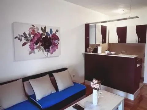 Izdavanje, jednosoban stan, 43m², Grbavica, Novi Sad Sve Podlokacije - image 3