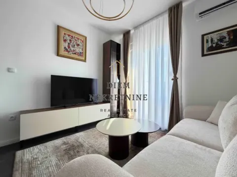 Rent, one bedroom apartment, 45m², Zabjelo, Podgorica - image 11