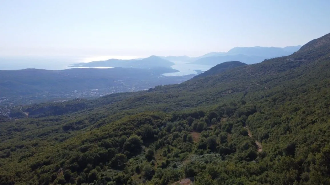 Prodaja, plac, 26417m², Čavori, Kotor