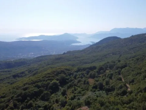 Zemljište in Čavori