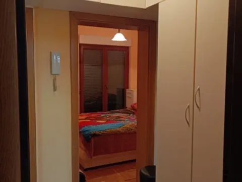 Izdavanje, jednosoban stan, 40m², Stari Aerodrom, Podgorica - image 5