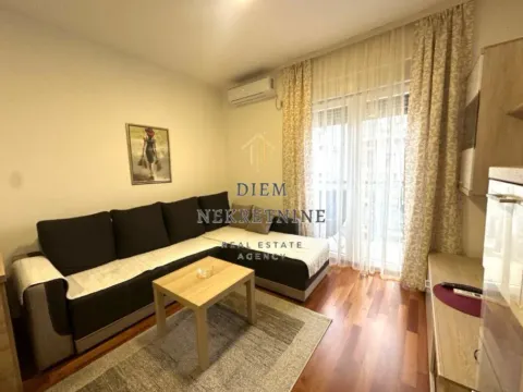 Izdavanje, jednosoban stan, 39m², Zabjelo, Podgorica - image 13