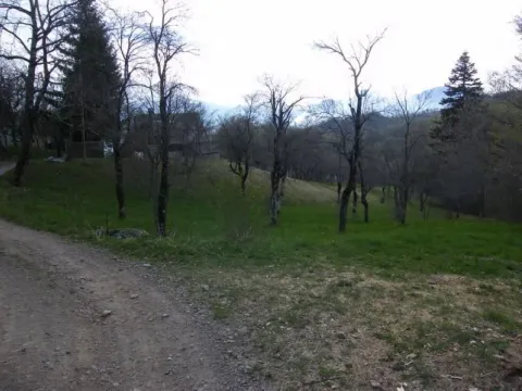 Prodaja, plac, 23600m², Kolašin, Crna Gora - image 2