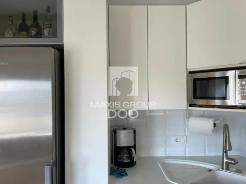 Izdavanje, jednosoban stan, 46m², Stari Grad, Beograd - image 8