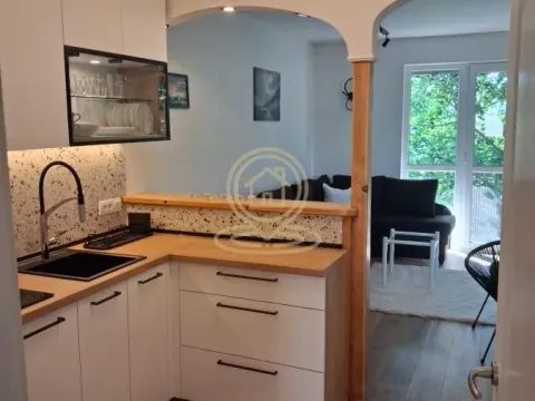 Rent, two bedroom apartment, 55m², Vračar Sve Podlokacije, Beograd - image 4