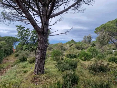 Prodaja, plac, 930m², Zagora, Kotor - image 14