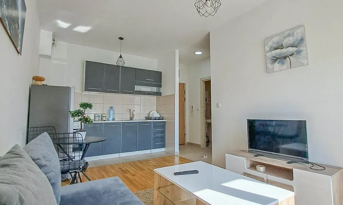 Izdavanje, jednosoban stan, 33m², Zabjelo, Podgorica