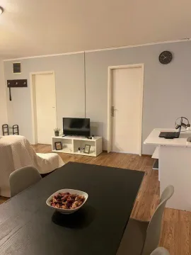 Izdavanje, dvosoban stan, 50m², Centar, Podgorica - image 5