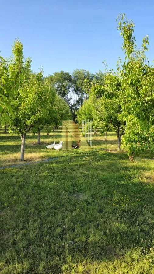 Prodaja, kuća, 230m², Srbobran, Novi Sad