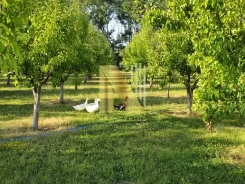 Sale, house, 230m², Srbobran, Novi Sad - image 55