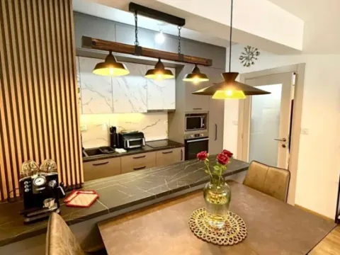 Izdavanje, jednosoban stan, 48m², Stara Varoš, Podgorica - image 5