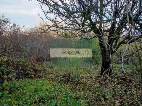 Prodaja, plac, 92300m², Đurđevo brdo, Jagodina - image 12