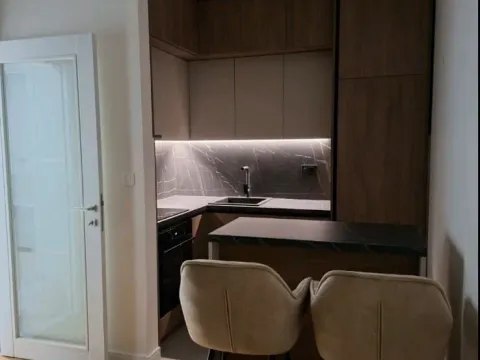 Izdavanje, jednosoban stan, 49m², Central Point, Podgorica - image 2