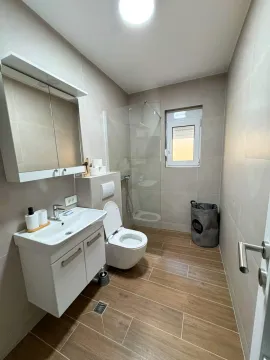 Modern bathroom equipped with a washbasin, toilet, and walk-in shower. - image 20