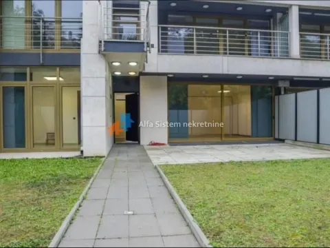 Izdavanje, kuća, 400m², Savski Venac, Beograd - image 2