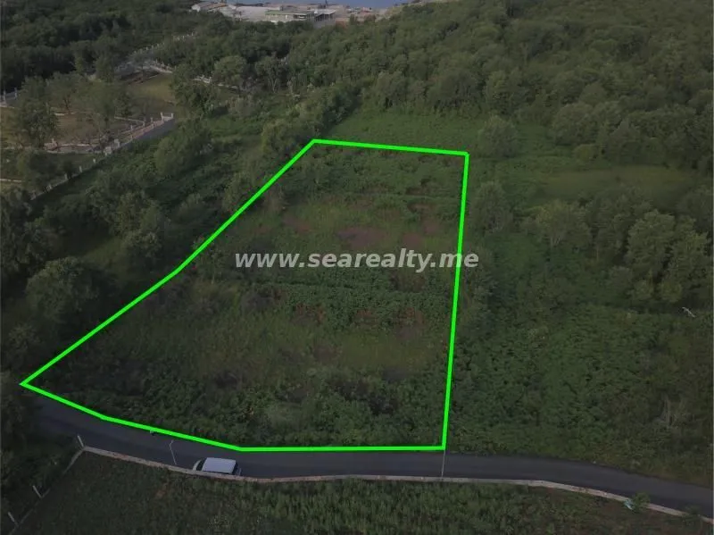 Prodaja, plac, 6400m², Krimovica, Kotor