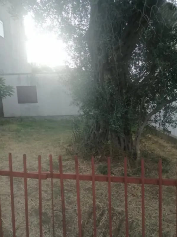 Sale, two bedroom apartment, 40m², Sutomore, Bar