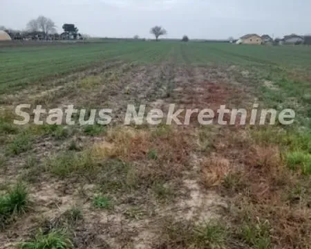 Prodaja, plac, 686m², Futog, Novi Sad Sve Podlokacije - image 14