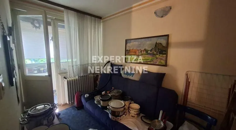 Dnevna soba sa kaučem i izlazom na terasu.