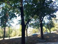 Prodaja, dvosoban stan, 47m², Šumice, Beograd - image 9