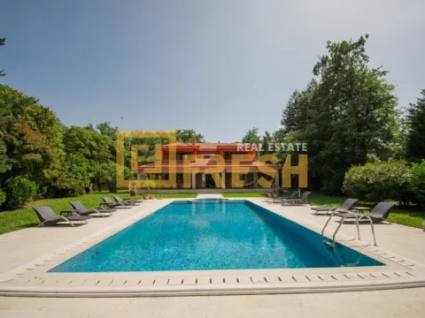 Prodaja, kuća, 400m², Danilovgrad, Crna Gora - image 10