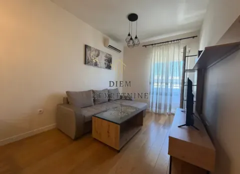 Rent, one bedroom apartment, 43m², Central Point, Podgorica - image 11