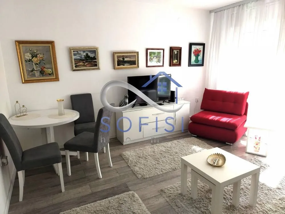 Rent, one bedroom apartment, 29m², Novi Sad Sve Podlokacije, Novi Sad