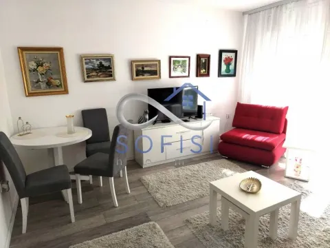 Rent, one bedroom apartment, 29m², Novi Sad Sve Podlokacije, Novi Sad - image 3