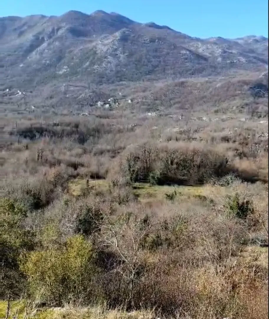 Prodaja, plac, 165000m², Cetinje, Crna Gora