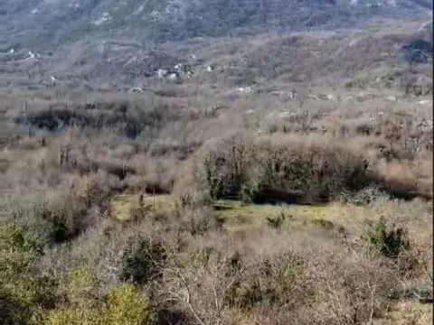 Sale, land lot, 165000m², Cetinje, Crna Gora - image 3