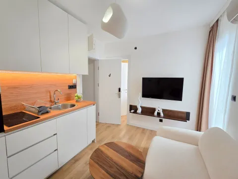 Prodaja, ugostiteljski objekat, 440m², Budva, Crna Gora - image 12