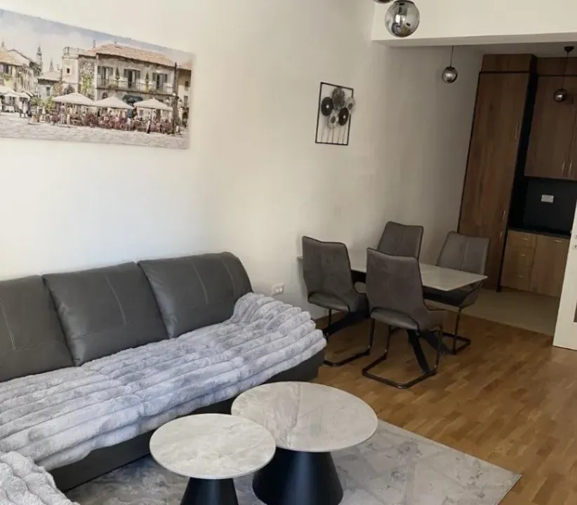 Izdavanje, jednosoban stan, 45m², Zabjelo, Podgorica