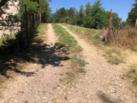 Sale, land lot, 1300m², Usije, Golubac - image 2