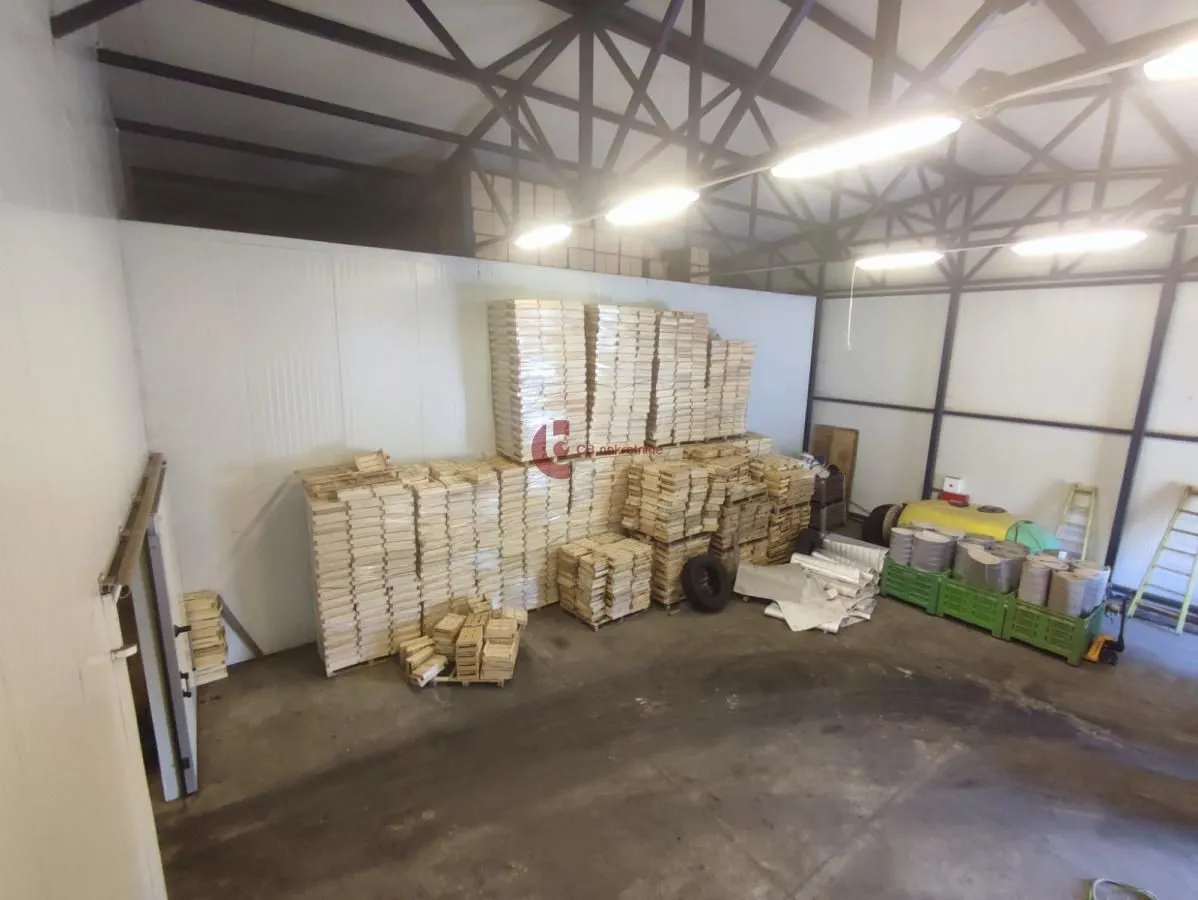 Rent, office space, 665m², Bački Vinogradi, Subotica