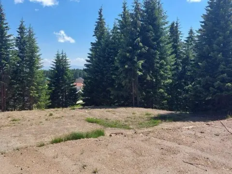 Sale, land lot, 600m², Golija, Ivanjica - image 4