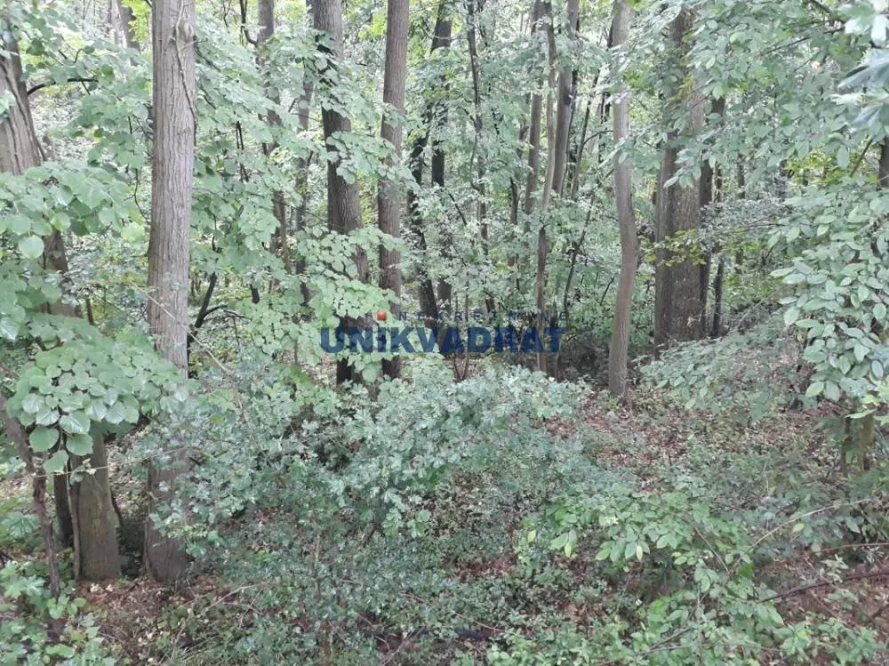 Prodaja, plac, 4000m², Voždovac Sve Podlokacije, Beograd